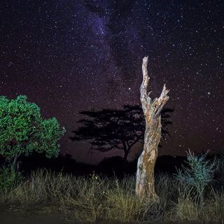 Samburu - Starry sky and milky way
